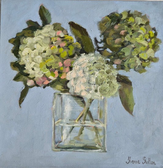 Hydrangea,